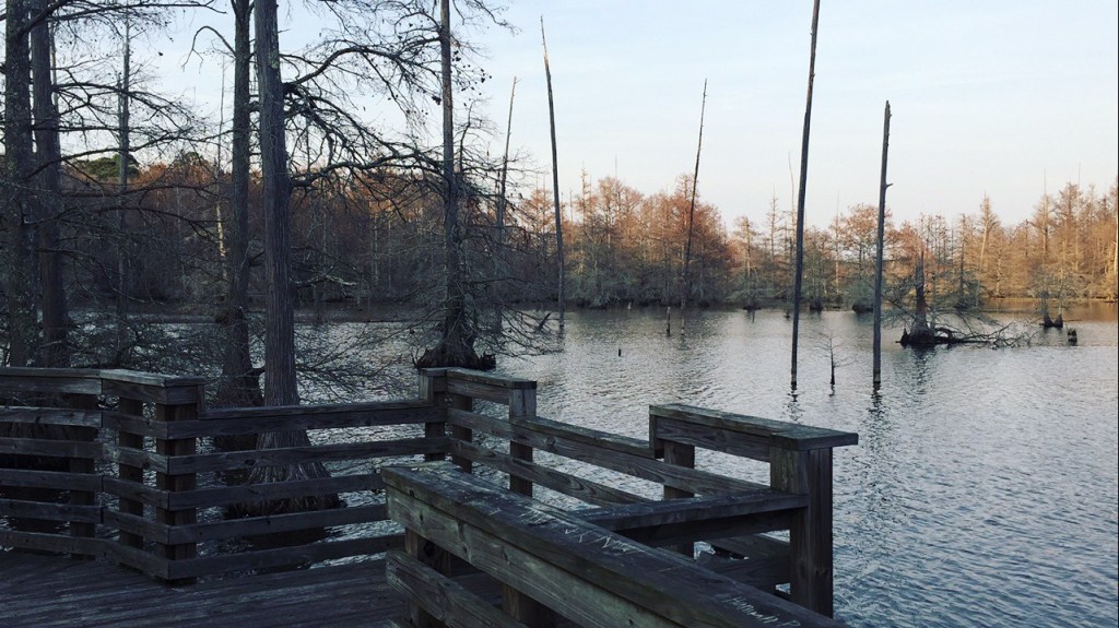 Seeking the Kingdom of&nbsp;God