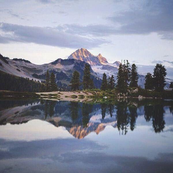 Filth Is Overwhelming&nbsp;Me