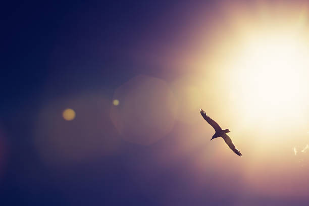 Freedom Can Be&nbsp;Found