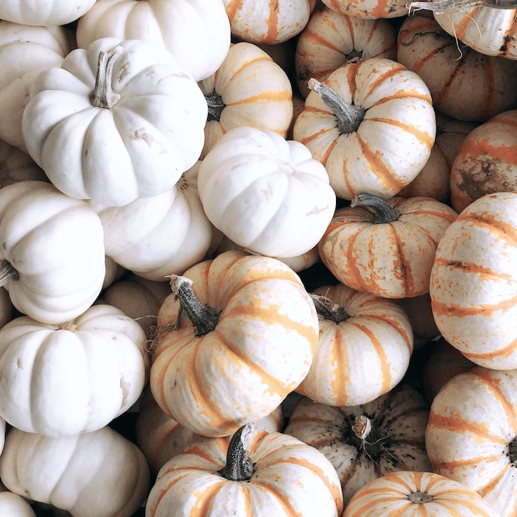 Fruit of the Spirit:&nbsp;JOY