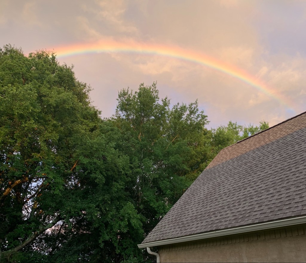 Fruit of the Spirit:&nbsp;FAITHFULNESS