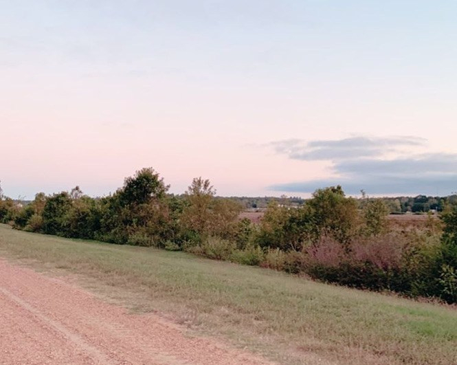 Fruit of the Spirit:&nbsp;GOODNESS