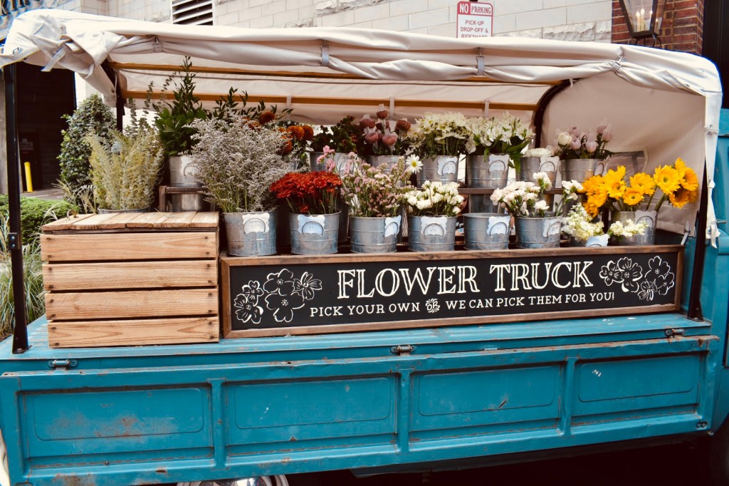 Fruit of the Spirit:&nbsp;PATIENCE