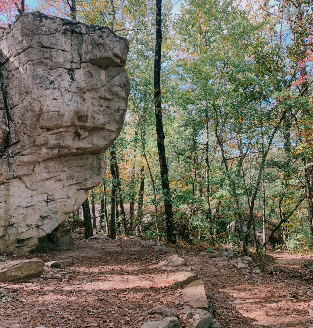 Fruit of the Spirit:&nbsp;GENTLENESS