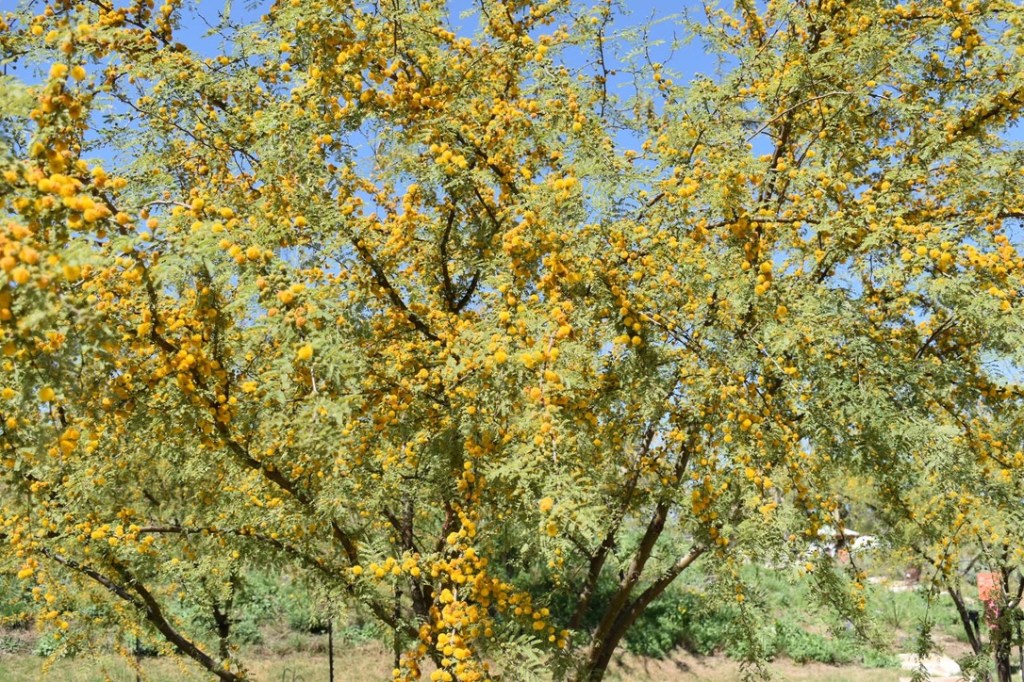 Each One is a Work of&nbsp;Art