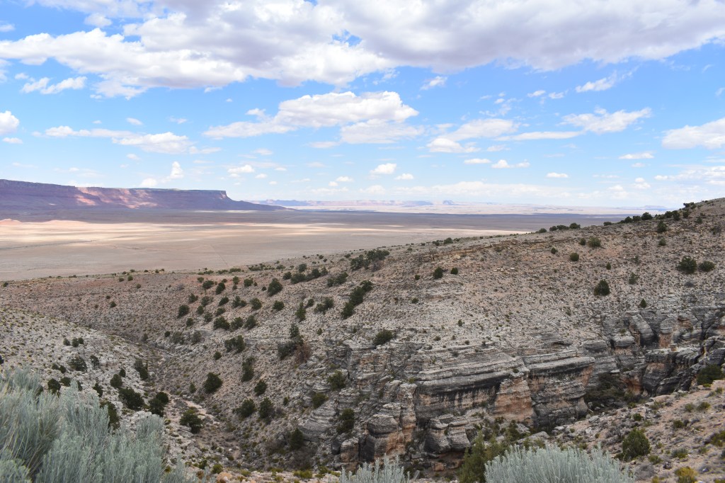 2022: Word of the&nbsp;Year