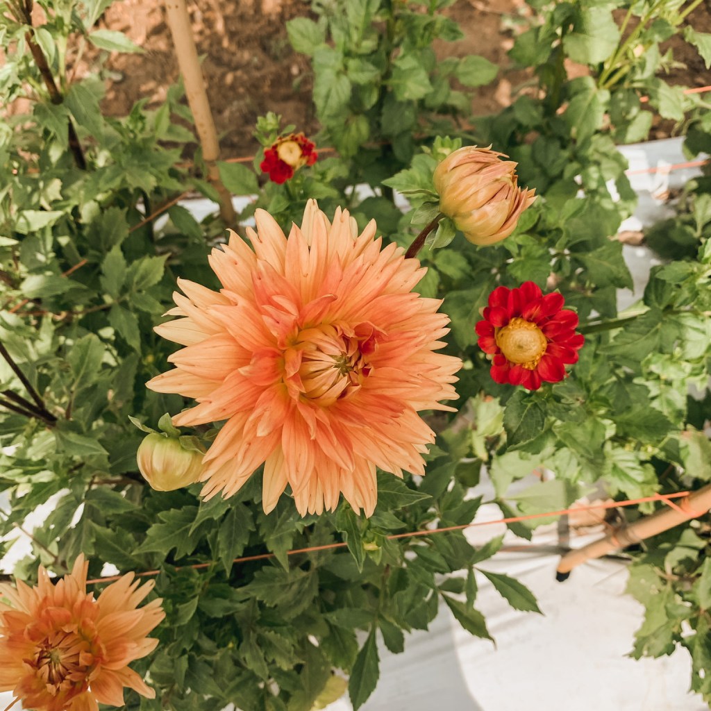 The Treasure Where You&nbsp;Are