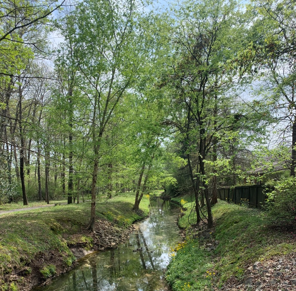 Expectation Versus Reality