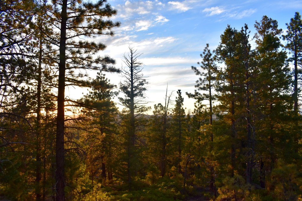 How To Improve Your Prayer&nbsp;Life