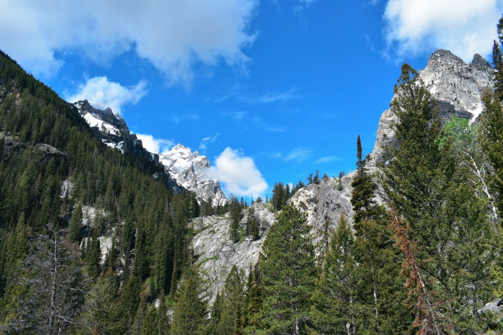 The Greatest Gift of&nbsp;Love