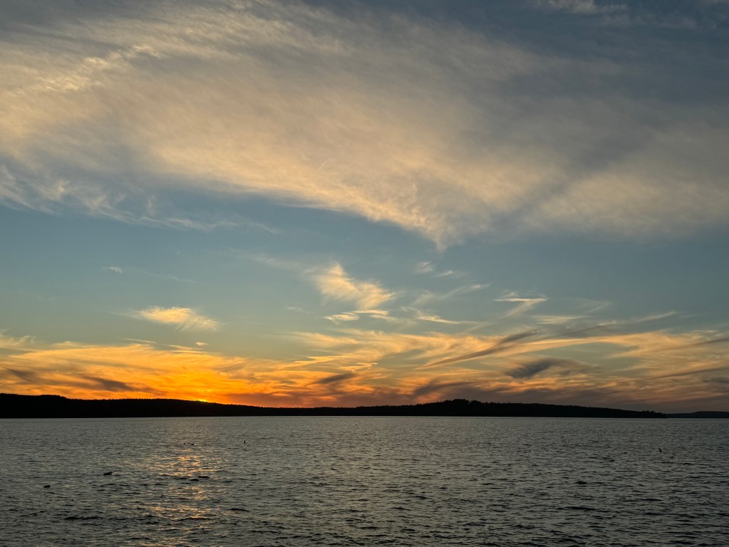 A Word for the&nbsp;Year