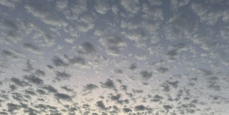 Living with Expectant&nbsp;Hope