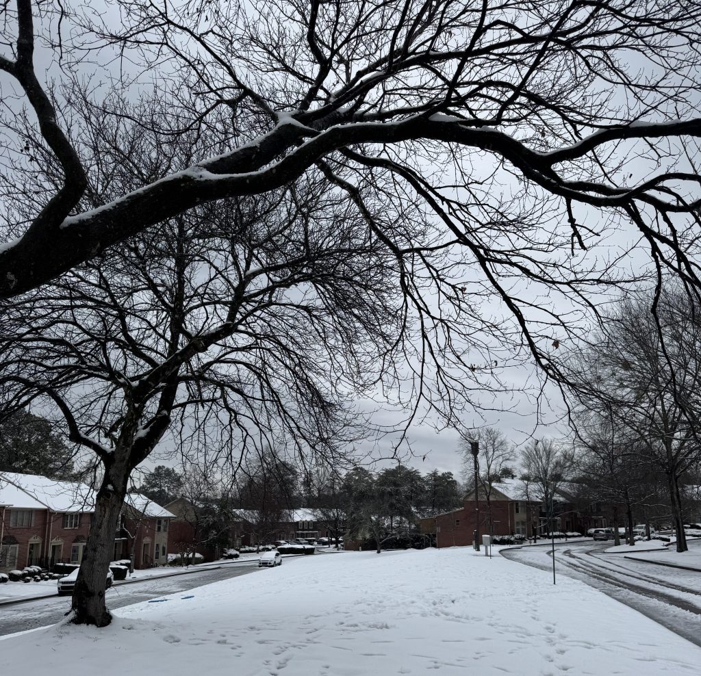 Pausing With Intention